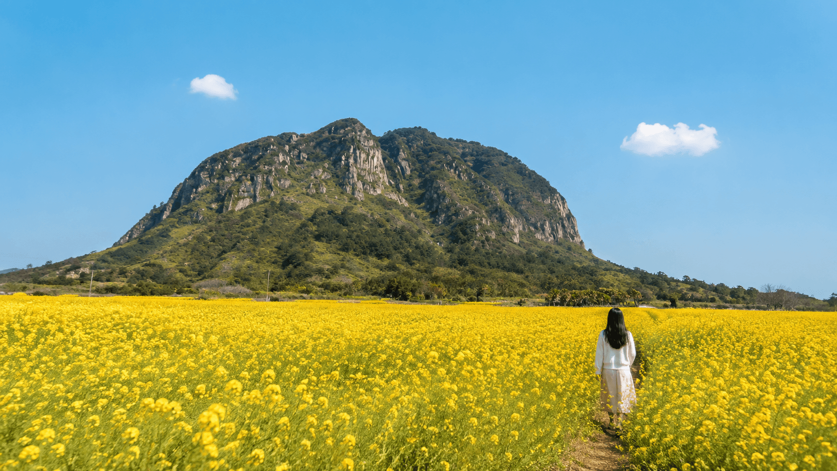 Jeju Island