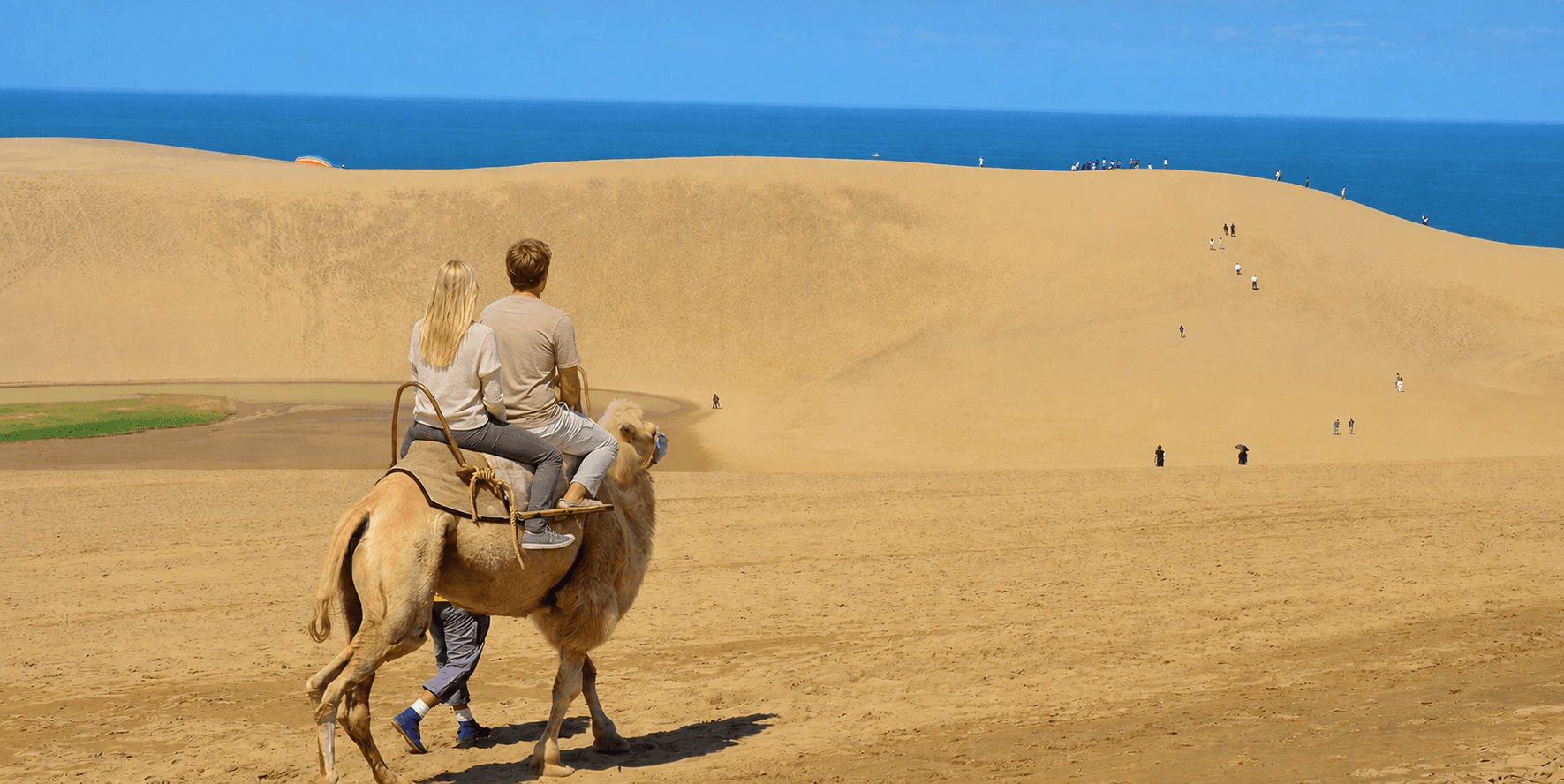 Tottori Sand Dunes