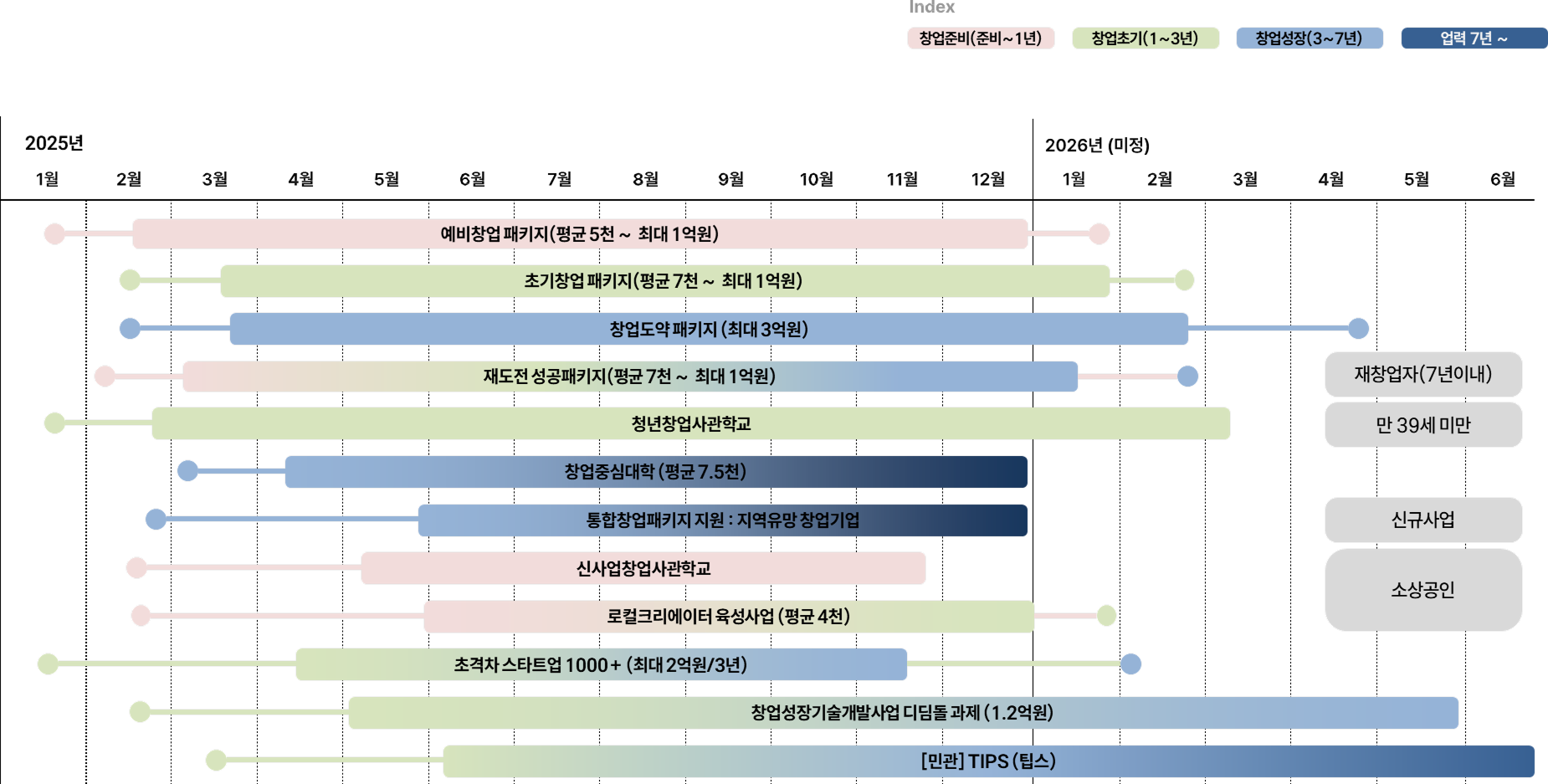 정부지원사업 로드맵