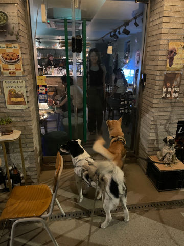 장안동 친구들