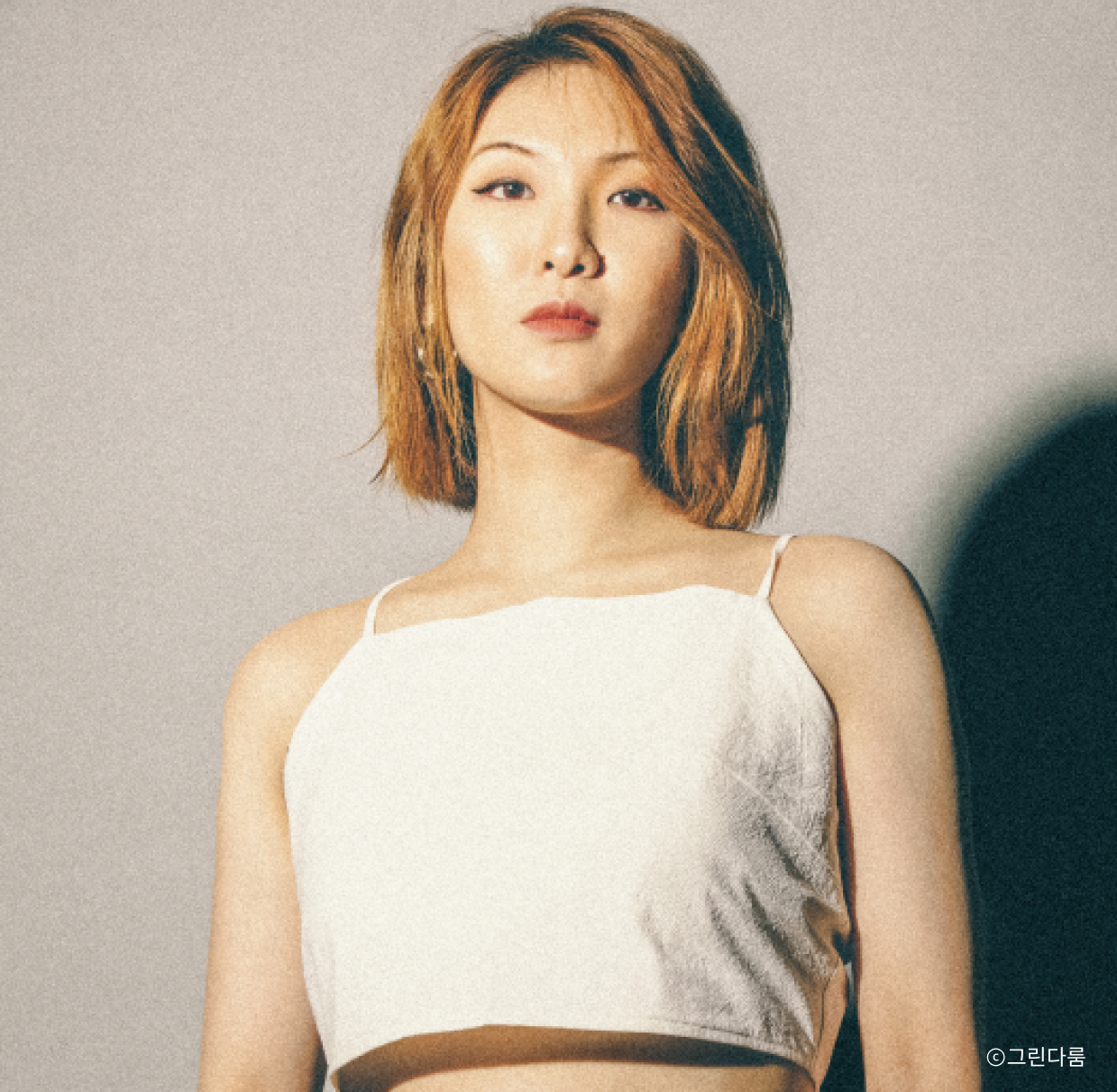 그린다룸