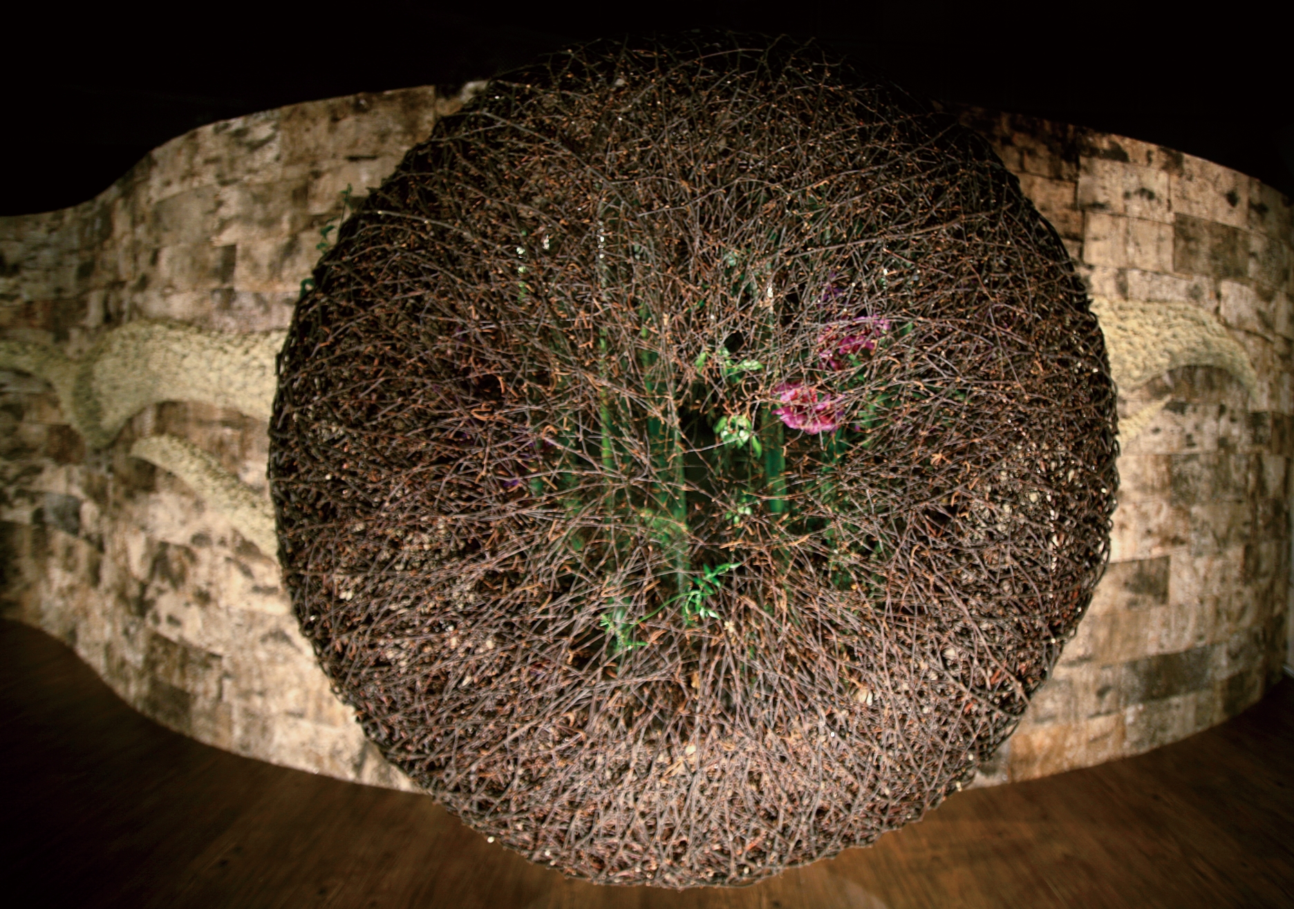 플라워 이미지 1