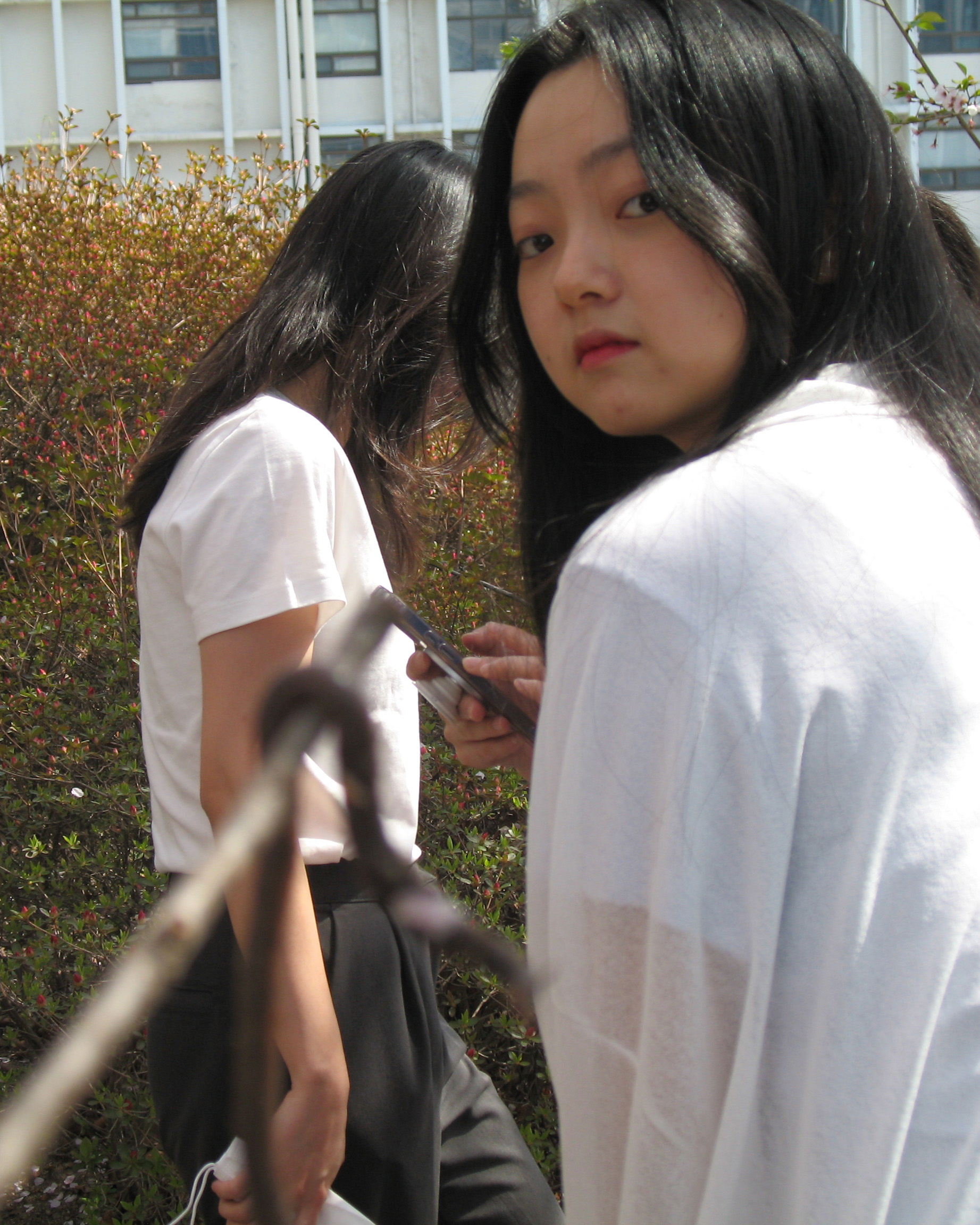 Soyeon Yun Hover